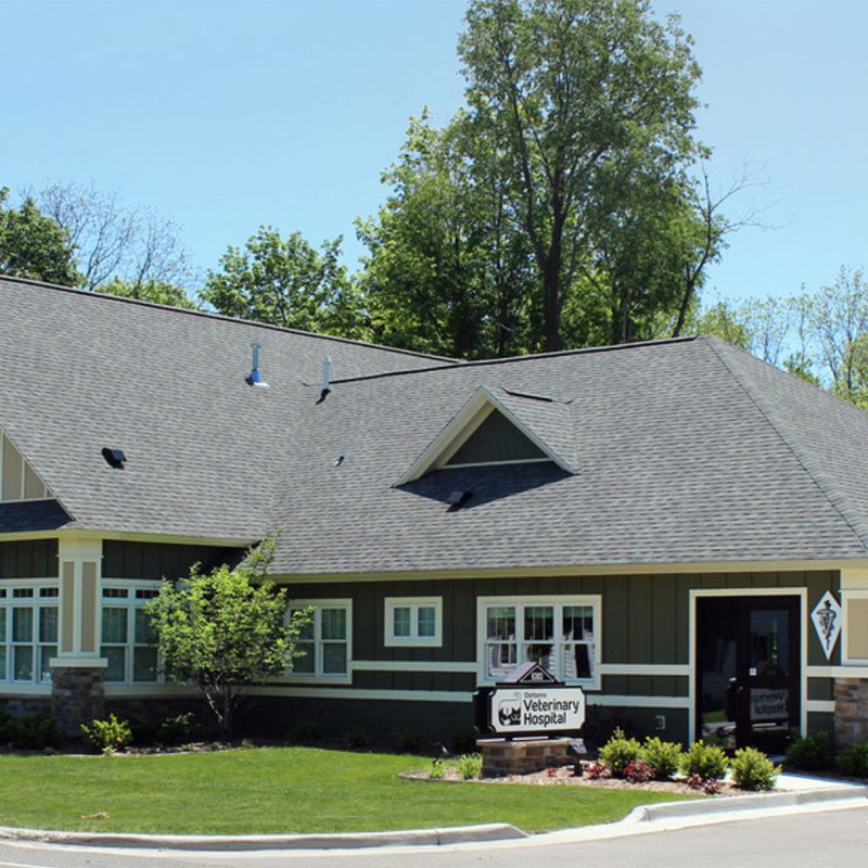 oshtemo-animal-hospital