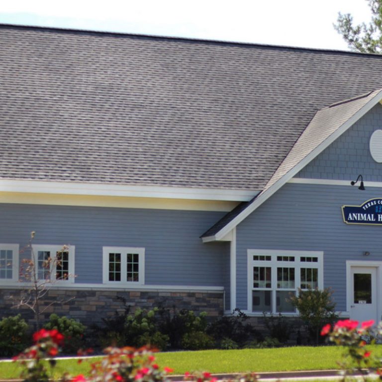 texas-corners-animal-hospital